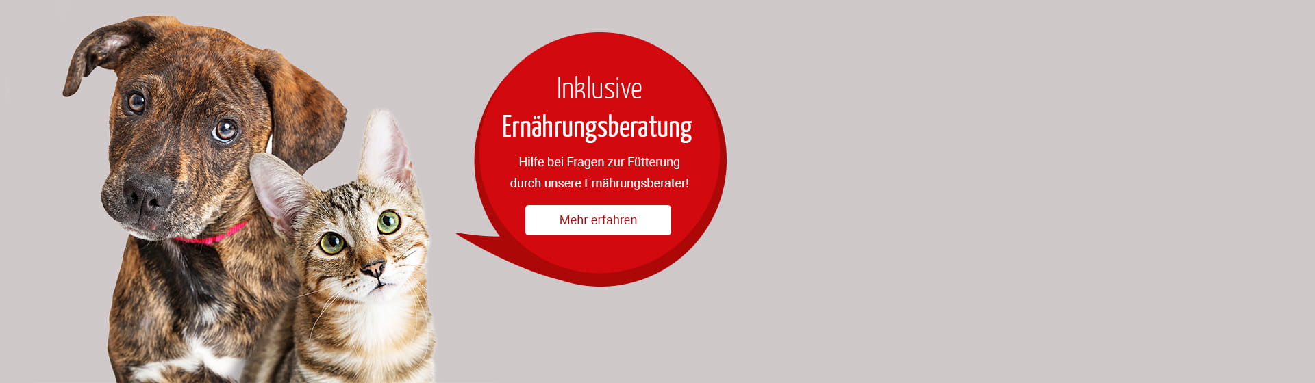 Ernährungberatung